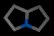 pyrrolizidine