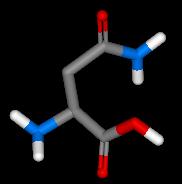 Asparagine