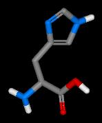 histidine