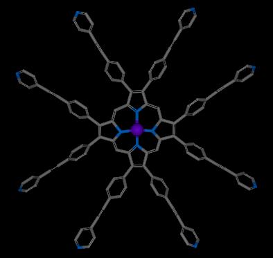 octa