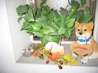 ロイヤル榎本ビル玄関装飾