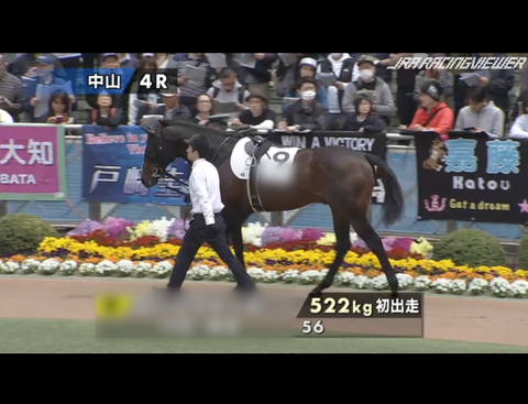 16隠し1