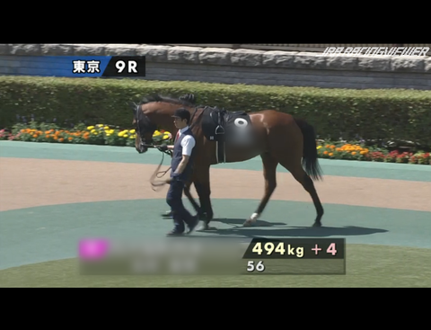 5.14隠し1