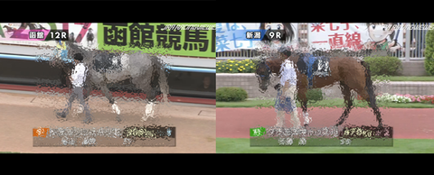 モザイク大雪12