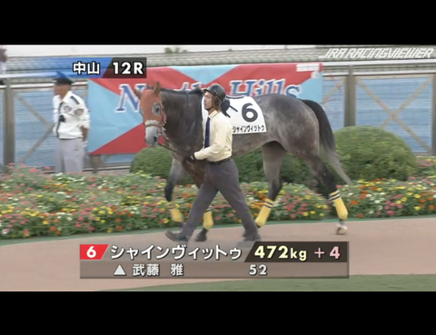 シャインヴィットゥ