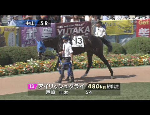 アイリッシュクライ