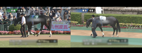 先出し17阪神JF