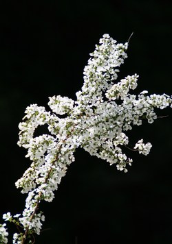 094