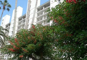 15-blog4