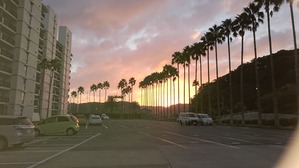 DSC_0166
