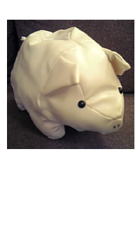kojima Happy Birthday Gift2