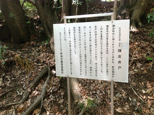 写真 (1)