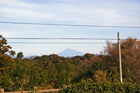 fujiyama