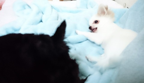 18-05-23-18-18-56-741_deco