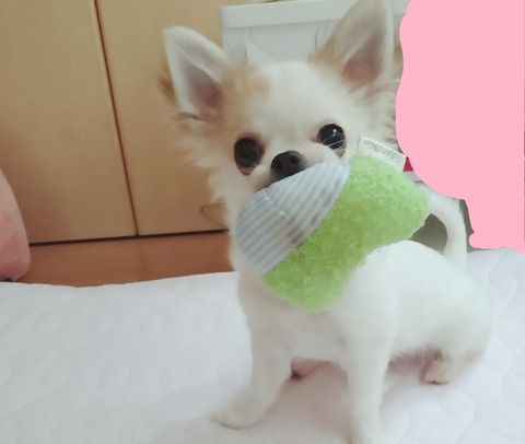 18-05-22-15-55-47-537_deco