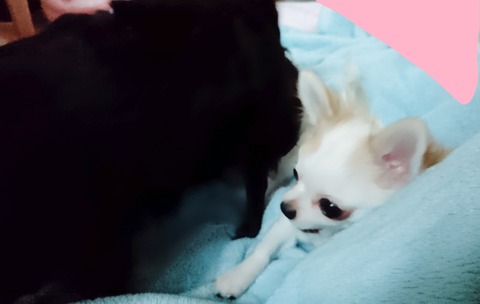 18-05-23-18-18-13-931_deco