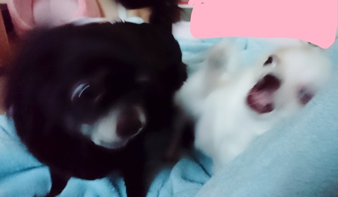 18-05-23-18-17-30-548_deco