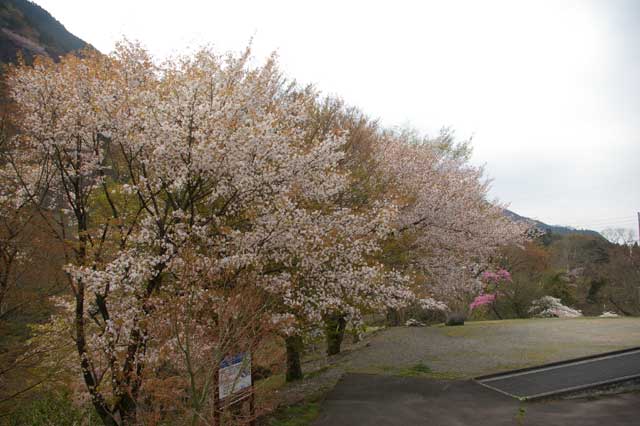 20190422A01