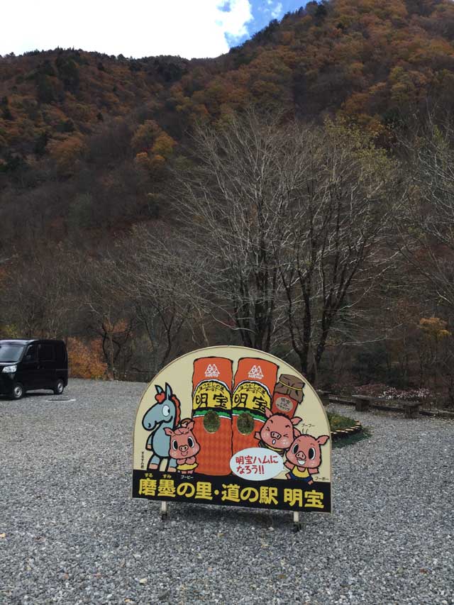 20181125A05