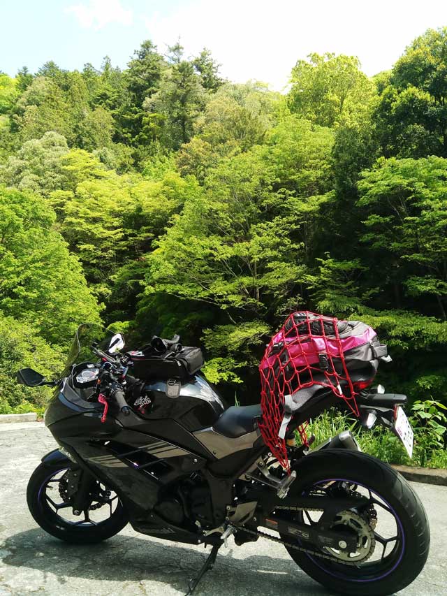 20190505B12
