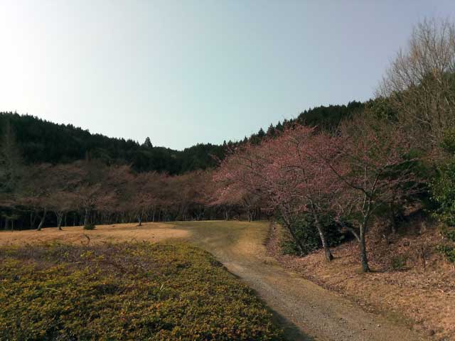 20190407B03