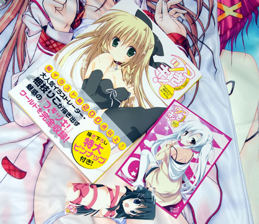 つきツキ Illustrations 梱枝りこart Works Rs6000の日記