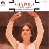 julie_box4_amapola
