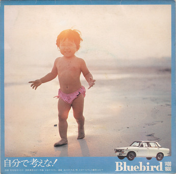 bluebird_2