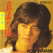 hayamikoji_casebycase