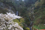 垂玉温泉3