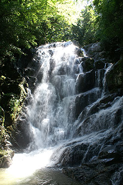 白糸の滝1