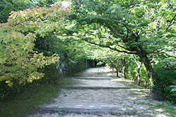 仁比山神社3