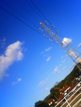 0397af91.jpg