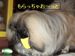 061bb9d8.jpg