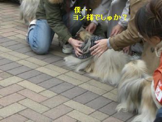 0690cd2a.jpg