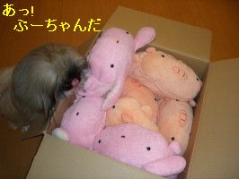 0841edd7.jpg