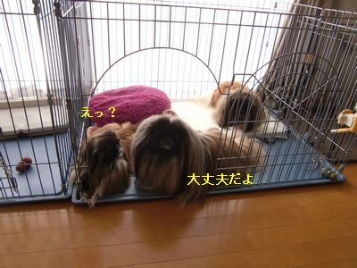 3-CIMG9431