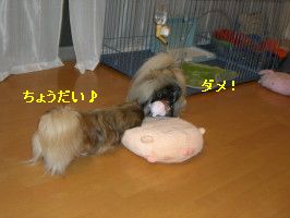 161bd1e0.jpg