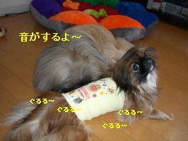 17c87762.jpg