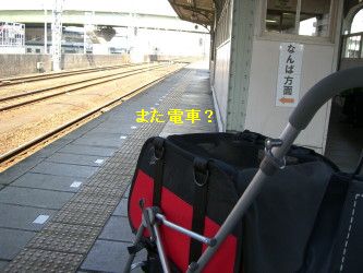1d51a300.jpg