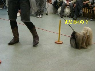 2cb8e07f.jpg