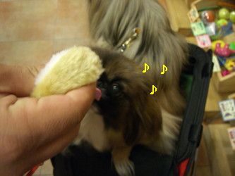 2d467236.jpg