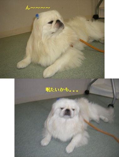 3b5a6bb6.jpg
