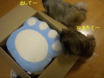 3f4a0c27.jpg