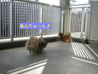 429c6a35.jpg