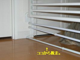 4526f6d8.jpg