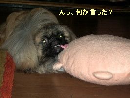501c81a7.jpg
