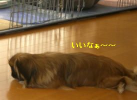55f5f8e4.jpg