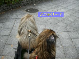 588f1d85.jpg