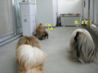 5c365187.jpg